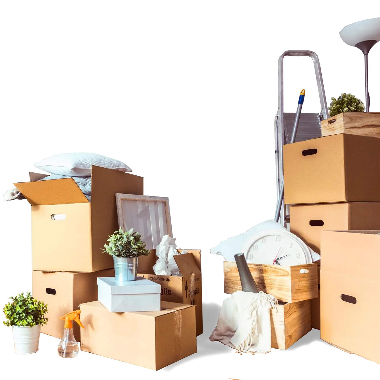 section to answer some questions the customer may have image